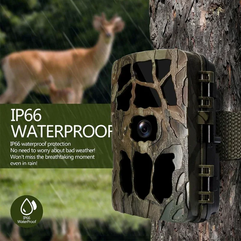 H982 IP66 방수 4K 야외 적외선 1080P 나 - Outdoor Hunting Images 리뷰 및 가격